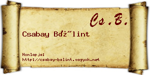 Csabay Bálint névjegykártya