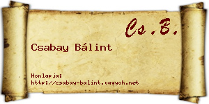 Csabay Bálint névjegykártya