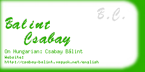 balint csabay business card
